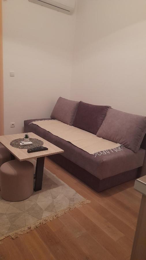 Apartman TiA Vrnjacka Banja Bagian luar foto
